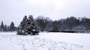 After the harsh frosts, another thaw has begun. Is spring just around the corner? - My Actifit Report Card: February 17, 2026