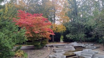 Return of grey weather with rain and cold - My Actifit Report Card: October 9, 2025