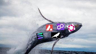 Whales are changing attitude in the Crypto world