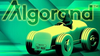 Tinyman (Algorand Ecosystem AMM)