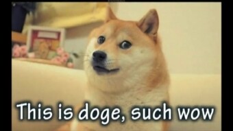 Introduction : Entering the Doge Realm