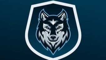 BSC Moonshot profiles: Safewolf