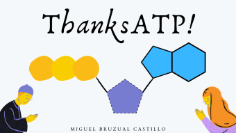 🙏🙏Say thanks to ATP! 🔋⚡