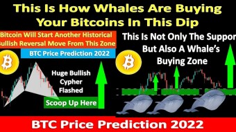 This Is How Whales Are Buying Your Bitcoins In This Dip | BTC Price Prediction 2022