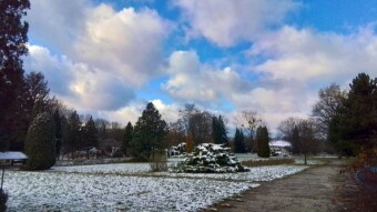 Another winter day, with a bit of sun and arctic wind - My Actifit Report Card: November 26 2023