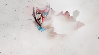 The Weakness of the Mind