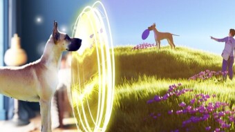 Walking Your Dog Without Leaving the Living Room - The Petaverse