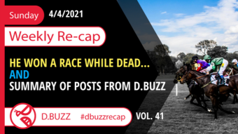 Recap of this Week's Posts by D.Buzz Vol.41