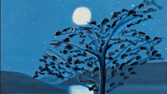 Bitcoin Observations - Week of 2/21