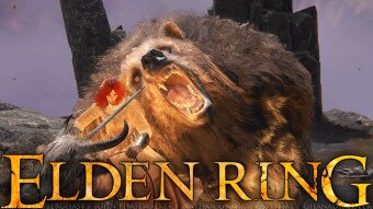 Runebear Cheese - Elden Ring