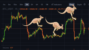 𝐂𝐫𝐲𝐩𝐭𝐨 𝐖𝐞𝐚𝐭𝐡𝐞𝐫 𝐅𝐨𝐫𝐞𝐜𝐚𝐬𝐭 #13 - No Joke, We are in a (Drunken) Kangaroo Market
