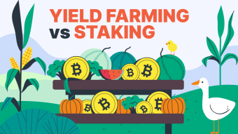 Yield Farming vs Staking: An Ultimate Guide on Crypto Passive Income