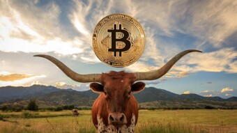 Despite 80% Rise, Data Shows Bitcoin Bull Run Just Started!