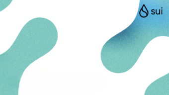 Building Decentralized Apps with Ease and Security on the SUI Network