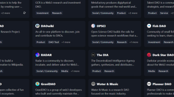 How do investment DAOs work