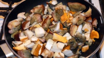 Scrambled eggs from the gifts of the forest. It doesn't matter how much, what matters is what you can do with it