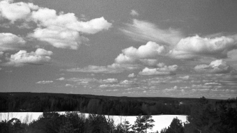 Spring memories on 6x9 format JCH Pan 400 film