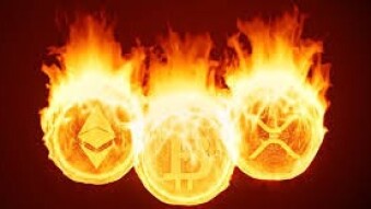 10 Million Dollar Coin Was Burned In A Single Seed.