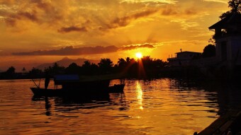 Discover Wildlife in the Oldest Grown Jungle With a Borneo Tour