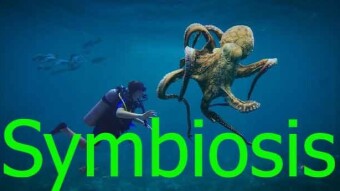 A comprehensive guide on Symbiosis (the missing link that we really want)