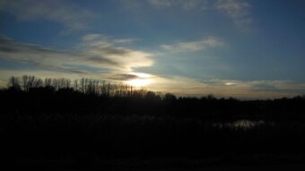 Beautiful sunsets and unusual phenomena, winter is coming - My Actifit Report Card: November 17 2023