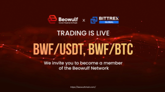 Beowulf (BWF) By DeFiato Exchange || B2B Decentralized Cloud Platform.