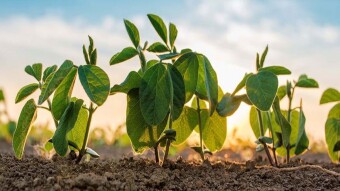 BNB High-Profit Farms Are Live 🔥 on Soy.Finance