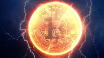 Bitcoin Beats... EVERYTHING! Outperforming Both Major Stock Indexes and Gold So Far in 2020...