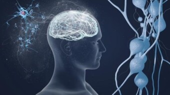 (IJCH) The Human Eye and Vision - Dusting Off Old Brain Cells (or How I Still Love Teaching!)