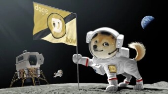 Someone Has to Say it About Dogecoin