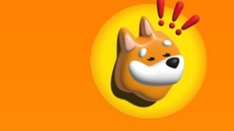 Solana meme coins. Should you get into the game?