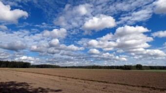 Nice day and I even found some mushrooms - My Actifit Report Card: September 27, 2024