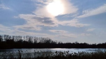 Another beautiful spring day and a successful walk - My Actifit Report Card: March 22