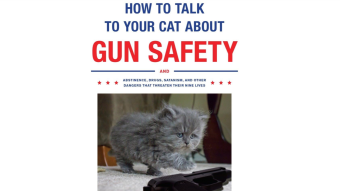 #CrapGotPublished - How to Talk with Your Cat About Gun Safety