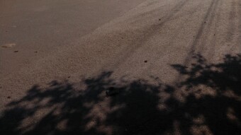 It was a Quiet sunny day