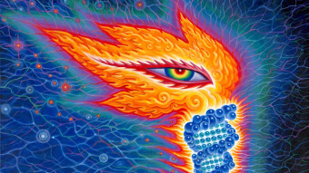 Bitcoin Allocation Stone Rolling Downhill - Part 2