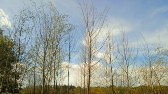 Nature photography