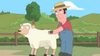 Sheep spend their life worried about the wolf, only to be eaten by the shepherd