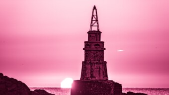 Viva Magenta, celebrating the color
