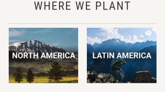 Help plant a Tree and get rewarded in Crypto