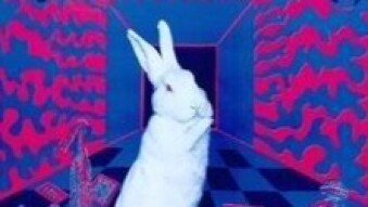 White Rabbit by Jefferson Airplane - Daily Song Facts
