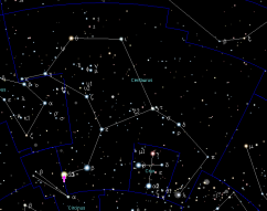 Stellar Potential