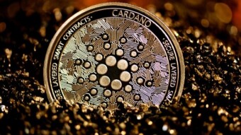 Cardano: How Is the 1000 cNeta Airdrop Going For Holders
