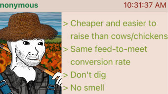 Rabbit-Farming to Save Money on Groceries? | 4chan greentext