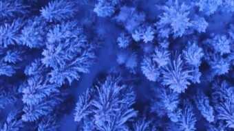 A Winter's Tale