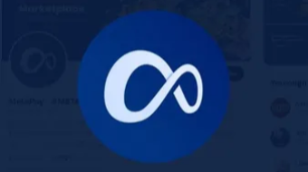 MetaPay; Price Manipulation, Exaggerated Goals And Hype.