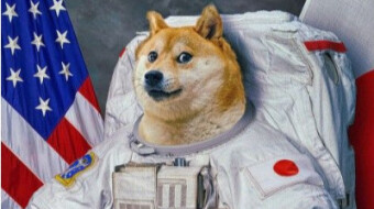 Everything You Wanted to Know About Dogecoin (but You Were Afraid to Ask) – and some odds…