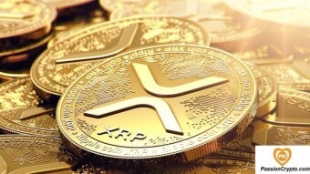 Ripple Moves 124.5 Million XRP While Trade Moves 92.6 Million XRP