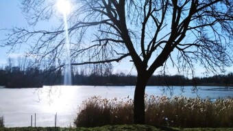 A beautiful sunny and warm day - finally - My Actifit Report Card: February 26, 2026