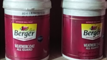 Weatherproofing My Future: Why I Sell Berger Paint and Mine Bitcoin at the Same Time!